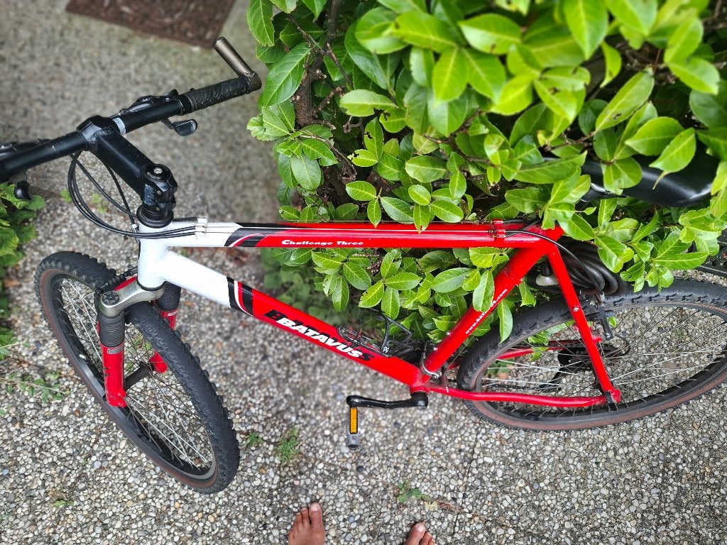 Batavus Challenge Three Mountainbike, Fietsen en Brommers, Gebruikt, 57 cm of meer, Ophalen, Overige merken