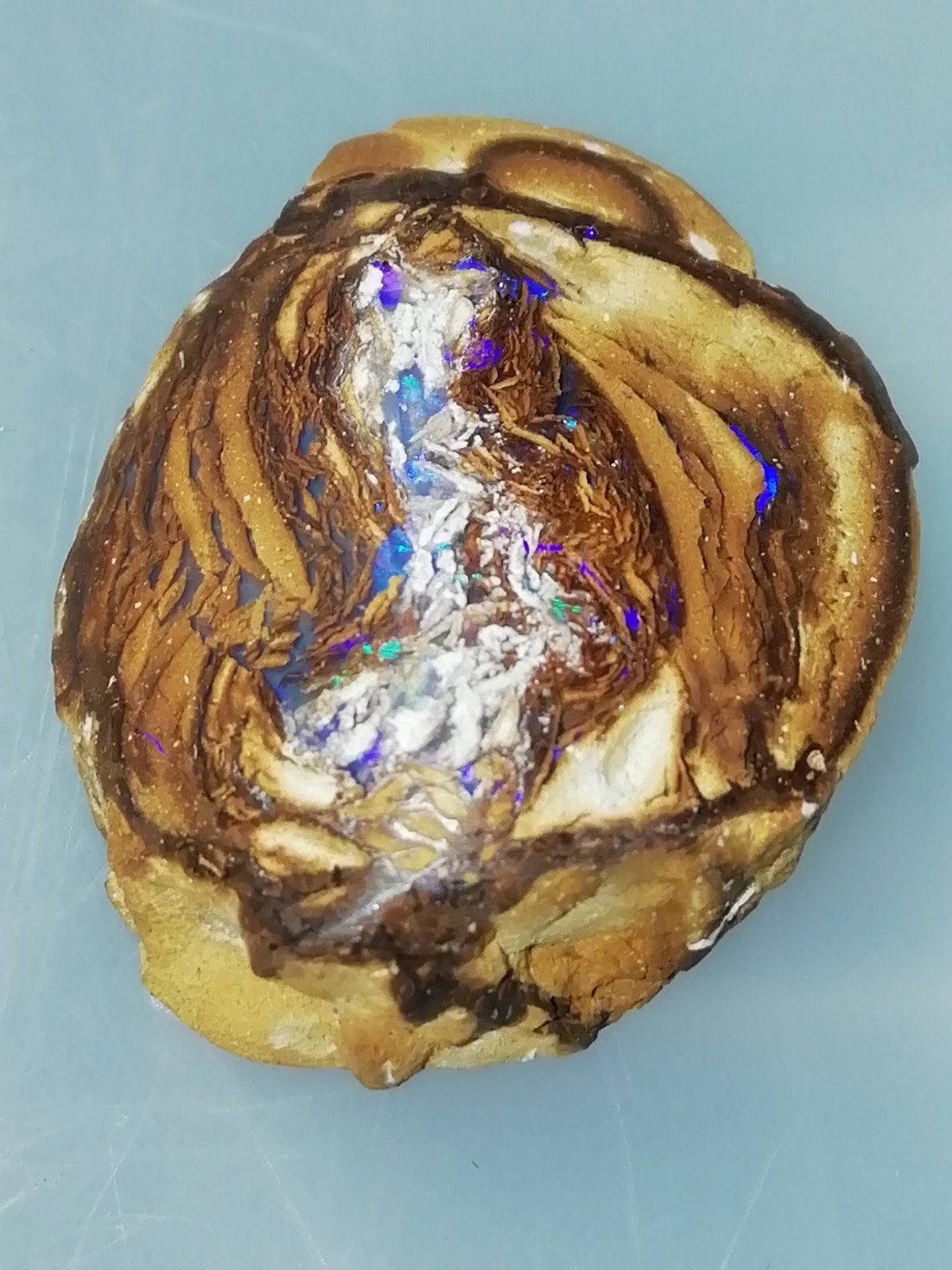 Geopaliseerd houtopaal (wood replacement opal), Sieraden, Tassen en Uiterlijk, Edelstenen, Ophalen of Verzenden, Nieuw