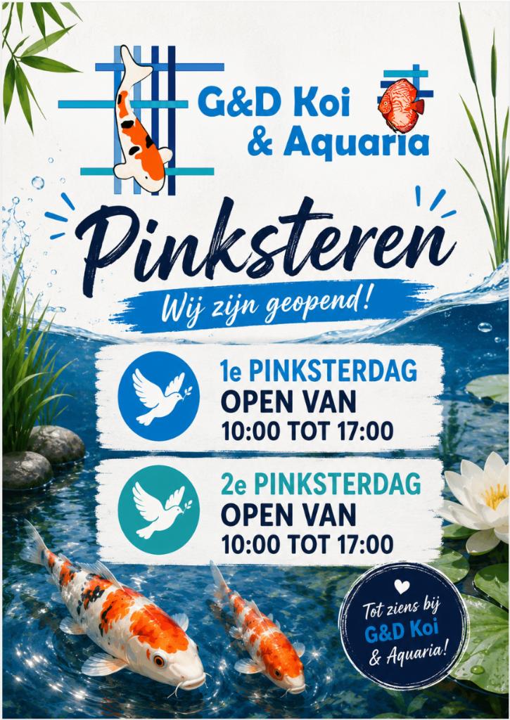 Extra geopend pinksterweekend! 1ste & 2de pinksterdag 10-17u, Tuin en Terras, Vijver-toebehoren, Gebruikt, Overige typen, Ophalen of Verzenden