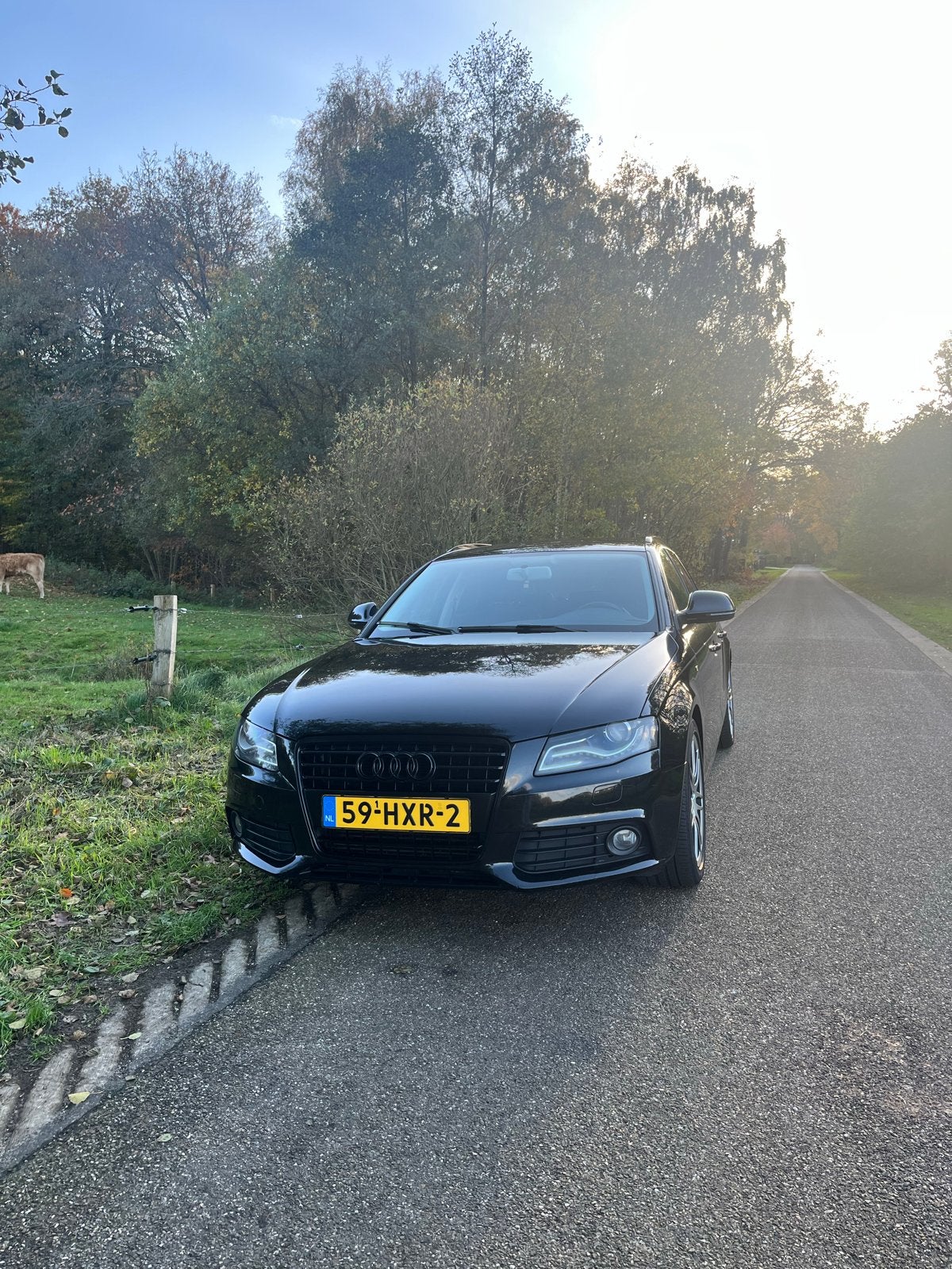 Audi A4 pro line business 2.0 Tfsi, Auto's, Audi, Trekhaak, 4 cilinders, 1984 cc, 179 pk