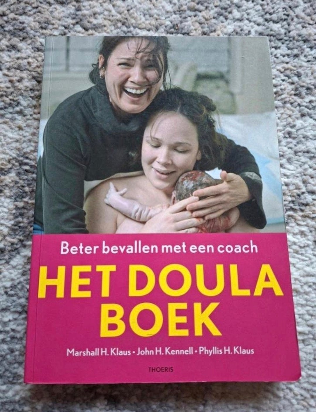 Het doulaboek / het doula boek, Boeken, Ophalen of Verzenden, Zwangerschap en Bevalling