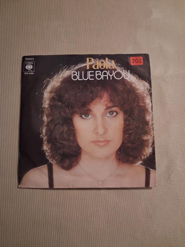 PAOLA HOES VINYL BIJNA NIEUWSTAAT, Ophalen of Verzenden, Zo goed als nieuw, 12 inch