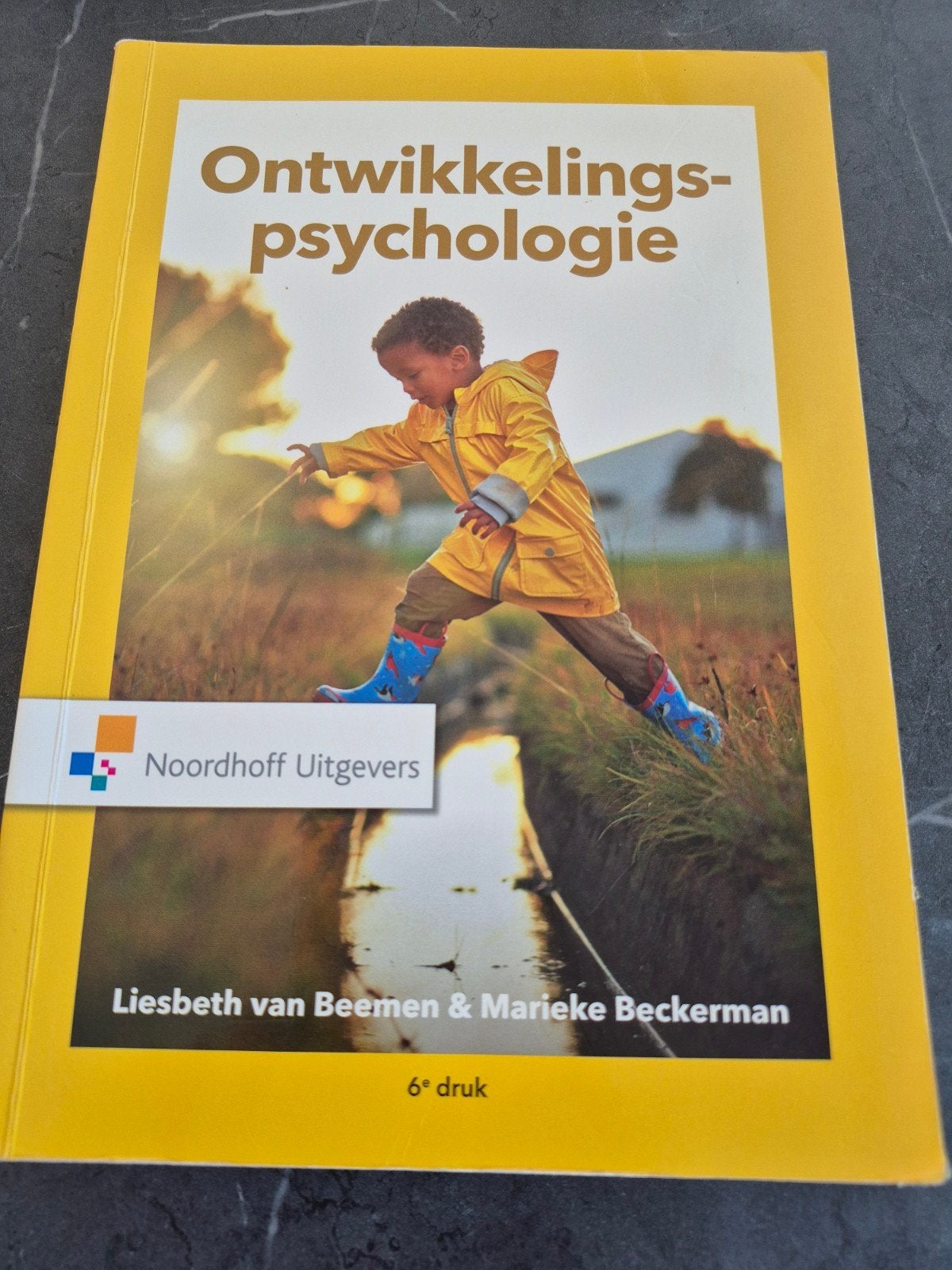 Ontwikkelingspsychologie - Schoolboek Pedagogiek, Ophalen of Verzenden, Overige niveaus