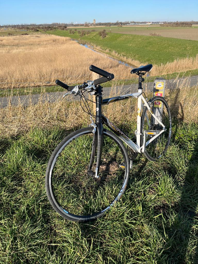 Batavus Cruiser SL Racefiets, Fietsen en Brommers, Fietsen | Racefietsen, Ophalen, 28 inch, Heren, Batavus