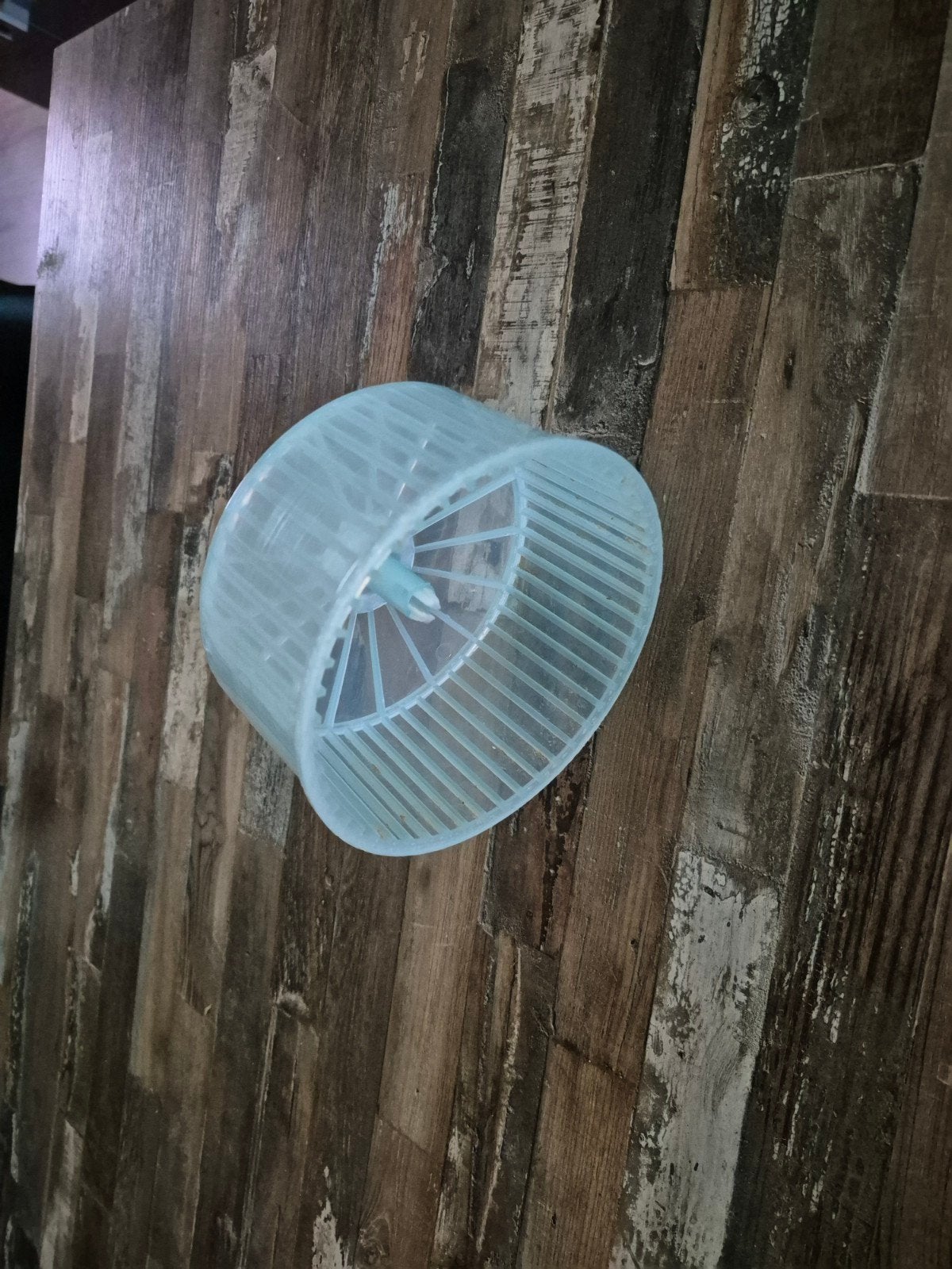 Dier wieltje, Ophalen, Kooi, Minder dan 60 cm
