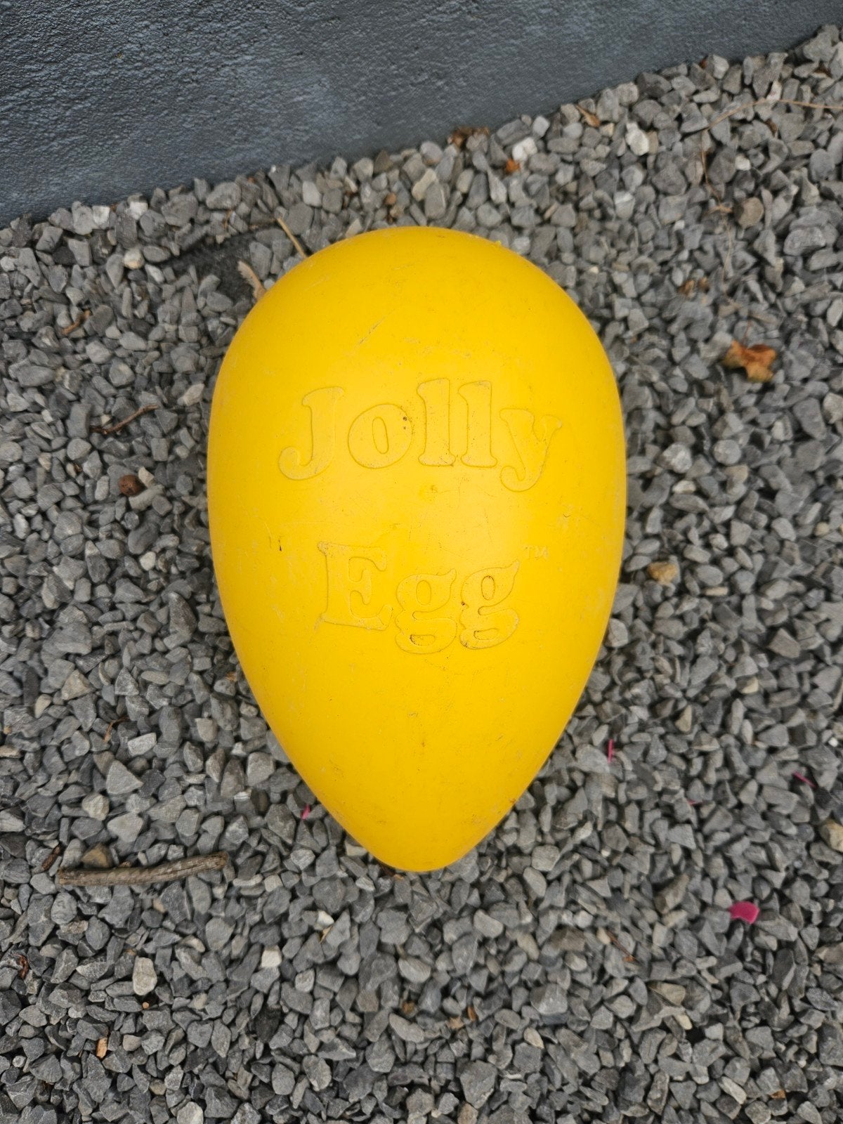 Jolly Egg, Dieren en Toebehoren, Ophalen