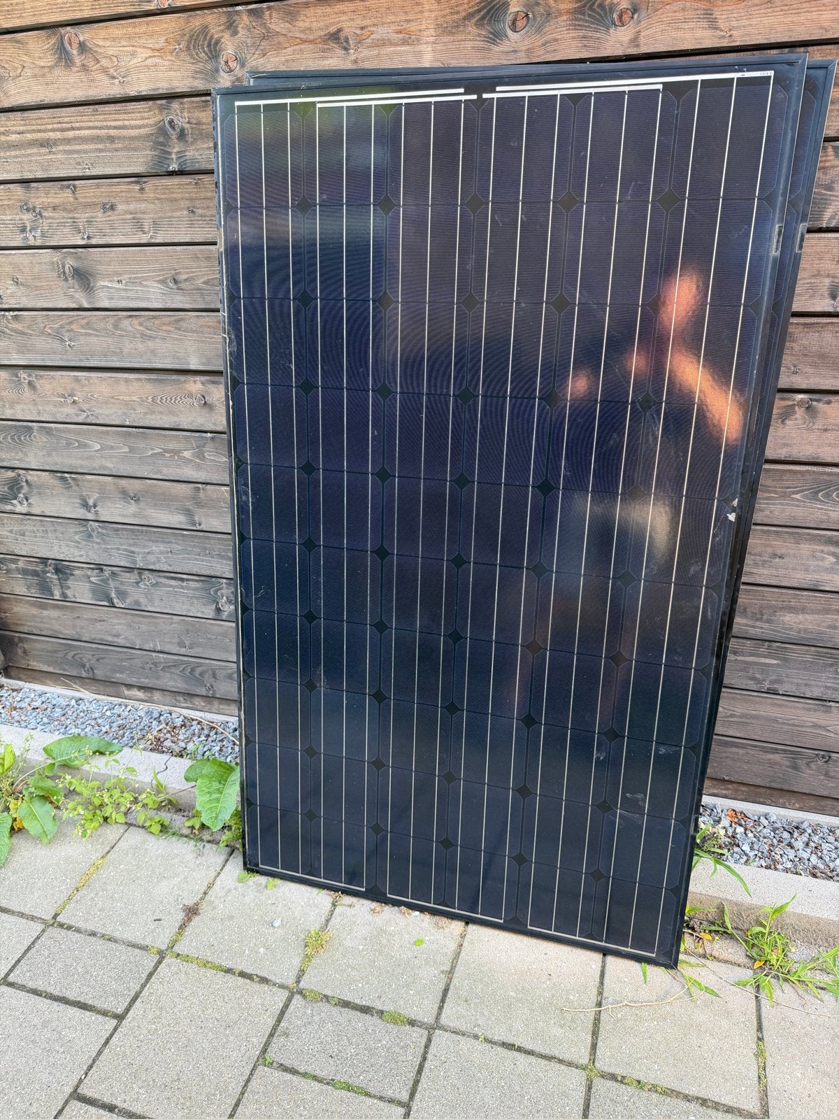 15x BISOl Zonnepanelen - 265 Wp, Ophalen, Gebruikt