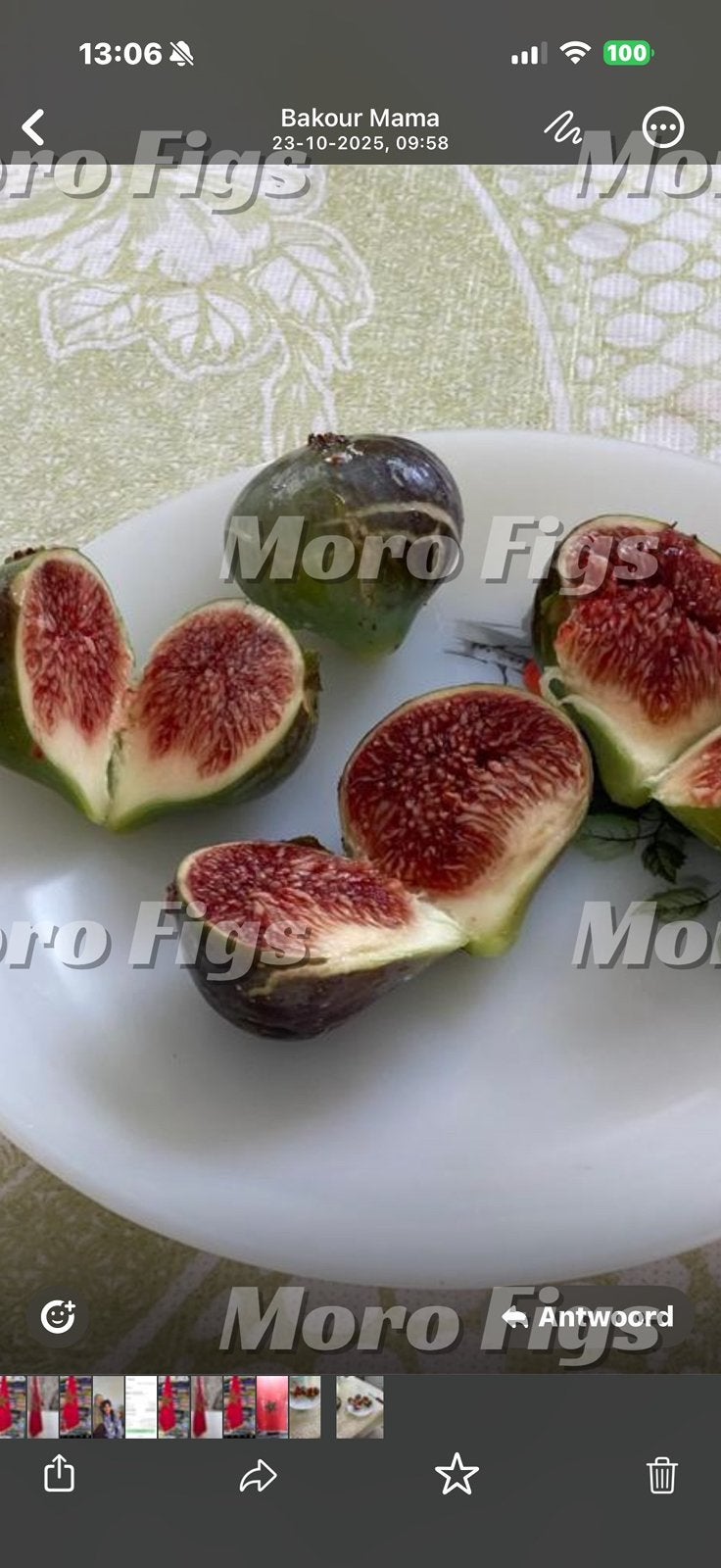 Vijgenboom donkere groene vijgen ras is onbekend, Tuin en Terras, Planten | Fruitbomen, Minder dan 100 cm, Lente, Volle zon, In pot