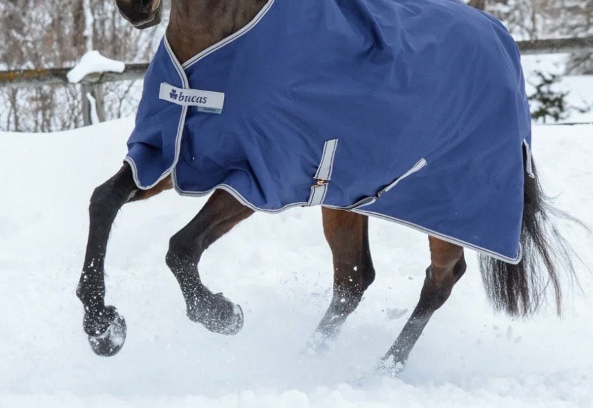 Diverse paardendekens, Dieren en Toebehoren, Full (L), Ophalen of Verzenden, Gebruikt