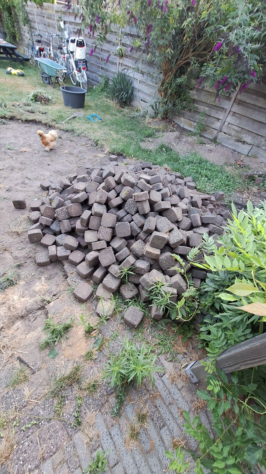Gratis stenen, Tuin en Terras, Grind, Keien en Split, Ophalen, Gebruikt
