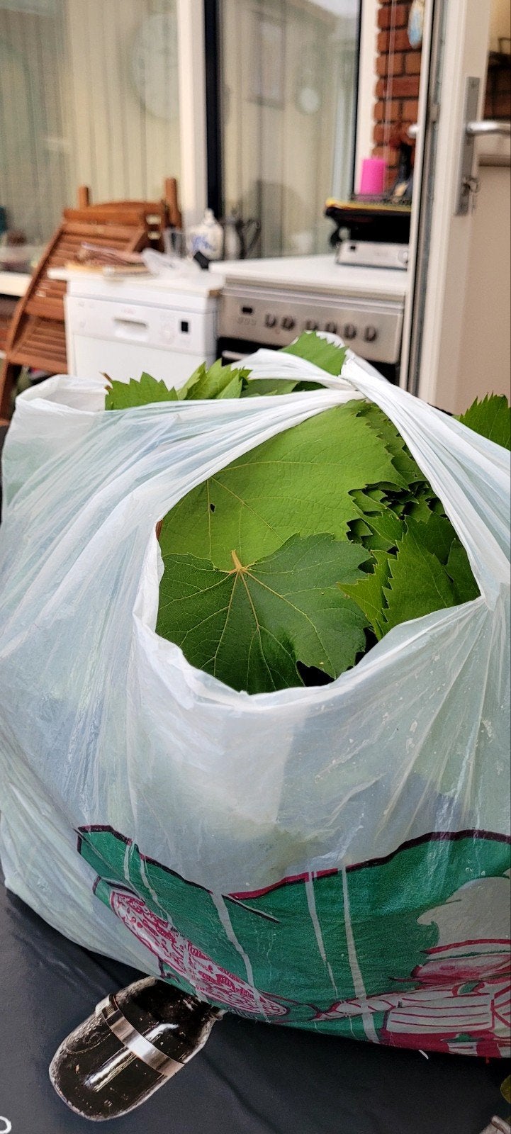 2.6 kg Verse druivenbladeren voor dolma en sarma 10 eu pkg, Ophalen of Verzenden