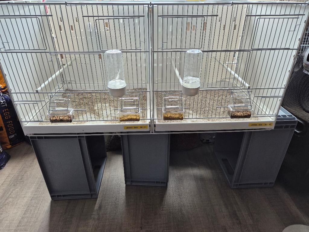 Kooien, Dieren en Toebehoren, Ophalen of Verzenden, Metaal, Vogelkooi