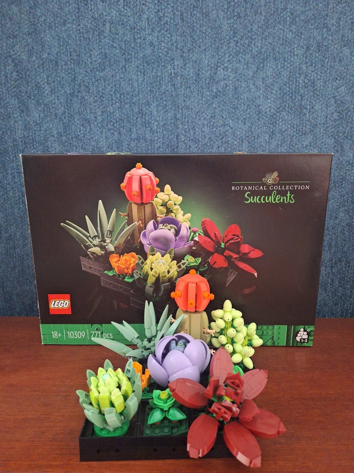 Lego Botanical Collection Succulenten (10309), Ophalen of Verzenden, Zo goed als nieuw, Overige merken
