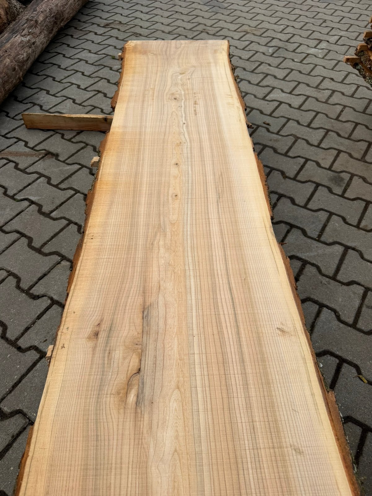 Mooie iepen boomstambladen voor 50 euro !!, Ophalen, Zo goed als nieuw, 250 cm of meer, Planken