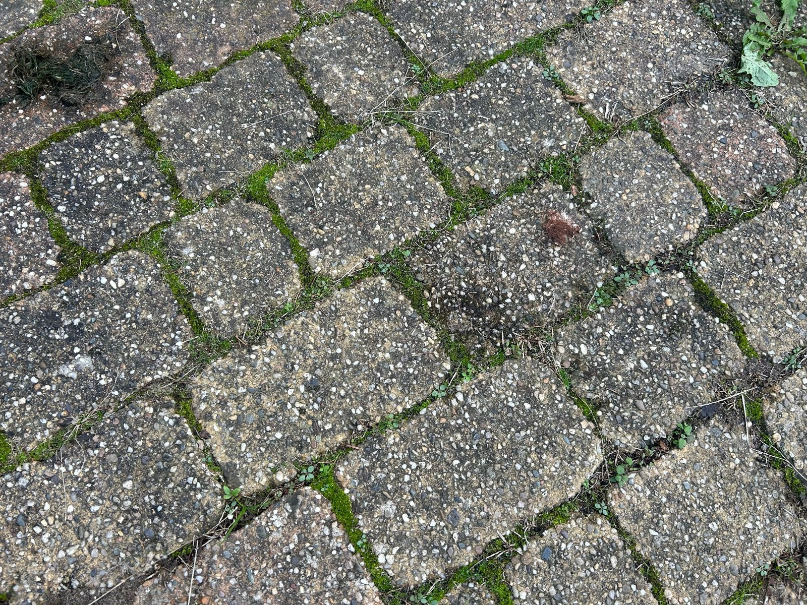 Gebruikte betonnen klinkers voor tuin of terras, Gebruikt, Klinkers, Beton, 5 tot 10 m²
