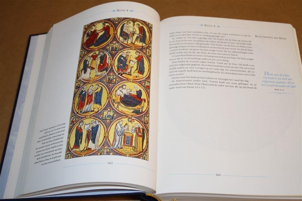 Geïllustreerde Bijbel. Mooiste teksten Heilige Schrift., Boeken, Ophalen of Verzenden, Zo goed als nieuw