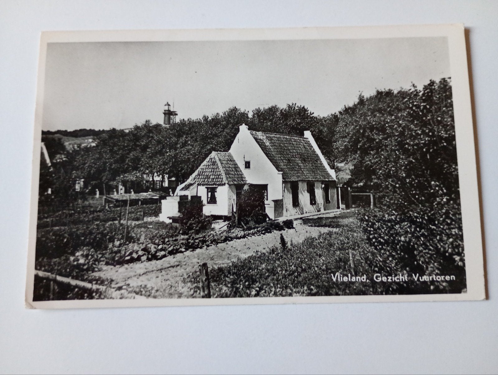 Vlieland Gezicht op Vuurtoren 1958, Ophalen of Verzenden, 1940 tot 1960, Gelopen, Waddeneilanden