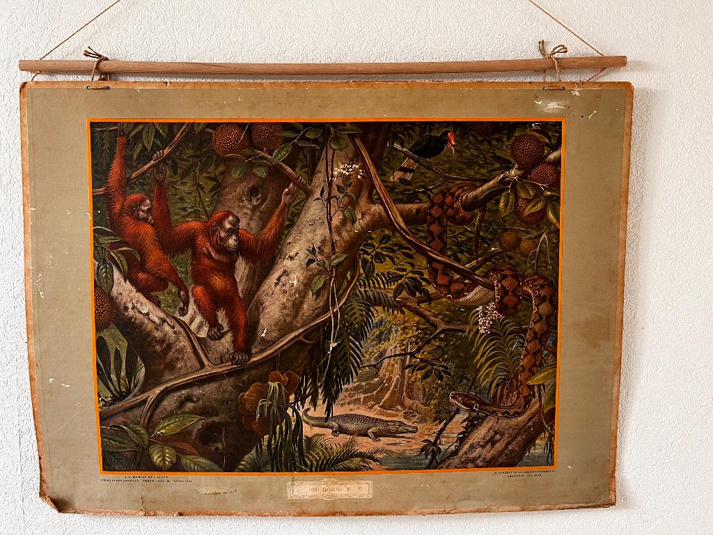 Wandkaart Borneo - Aan de rand der Kalahari, Ophalen, Geschiedenis