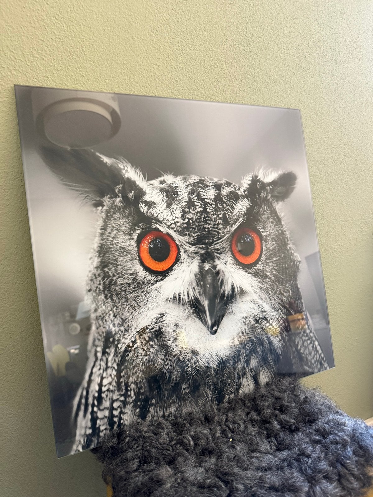 Glazen wanddecoratie met uil, Ophalen, Meerkleurig, Glas, Met ophangsysteem