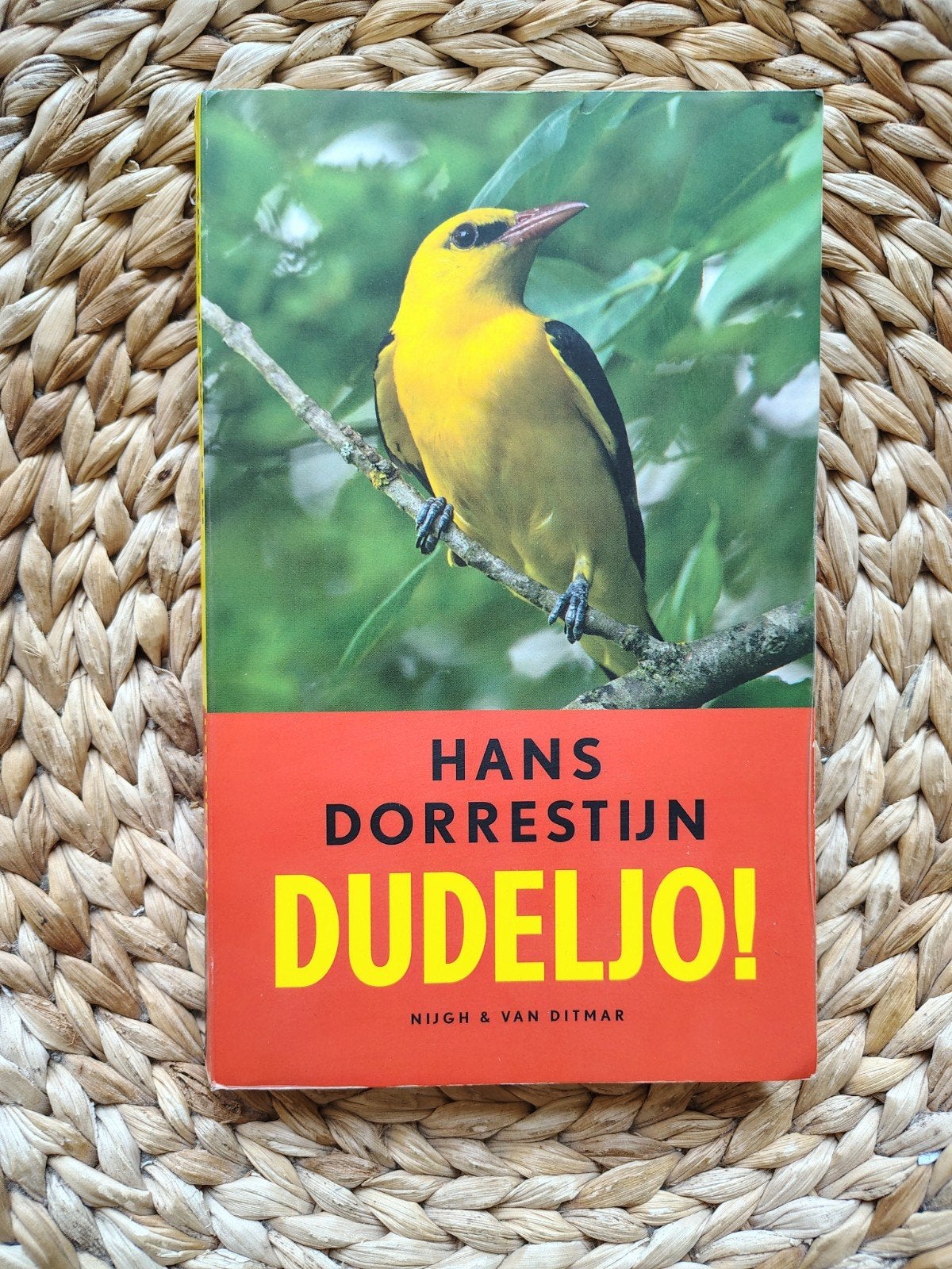 Hans Dorrestijn - Dudeljo!, Ophalen of Verzenden