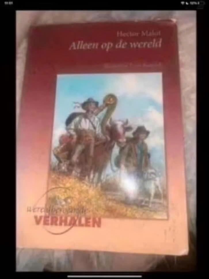 Alleen op de wereld - Hector Malot (Wereldberoemde Verhalen), Boeken, Gelezen, Europa overig, Ophalen of Verzenden, Hector Malot