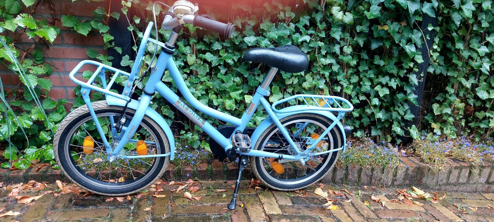 blauw Alpina kinderfietsje, 16 inch, Ophalen, Gebruikt