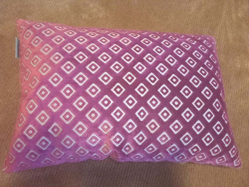 Kussen van fluweel /velours stof 45 x 30, Huis en Inrichting, Woonaccessoires | Kussens, Ophalen, Gebruikt, Inclusief binnenkussen