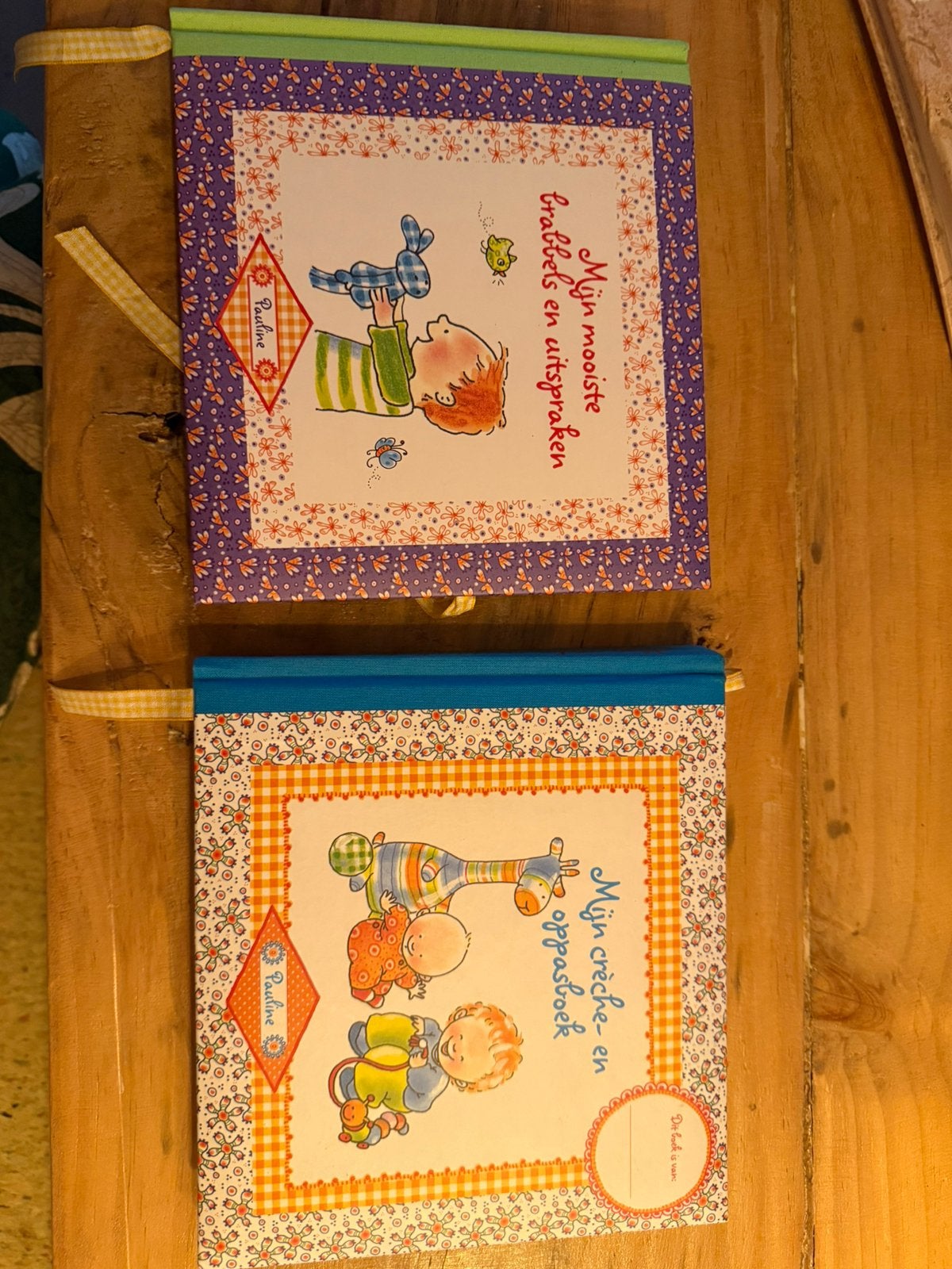Baby invulboek van pauline, Boeken, Ophalen of Verzenden, Zo goed als nieuw, Opvoeding tot 6 jaar