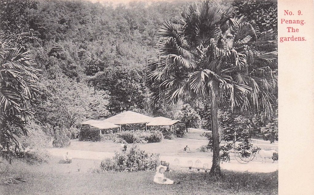 Nederlands Indië Penang - The Gardens, Ophalen of Verzenden, Voor 1920, Ongelopen, Buiten Europa