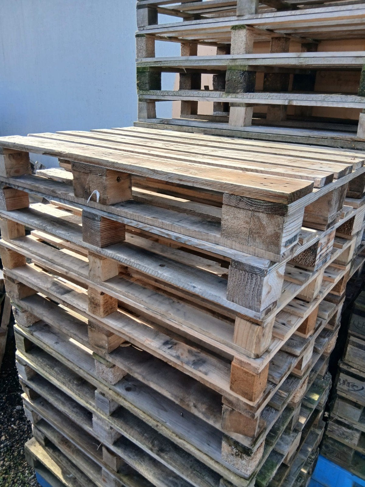 houten wegwerppallets met hetzelfde formaat als europallets, Ophalen, Overige houtsoorten, Minder dan 200 cm, Pallet