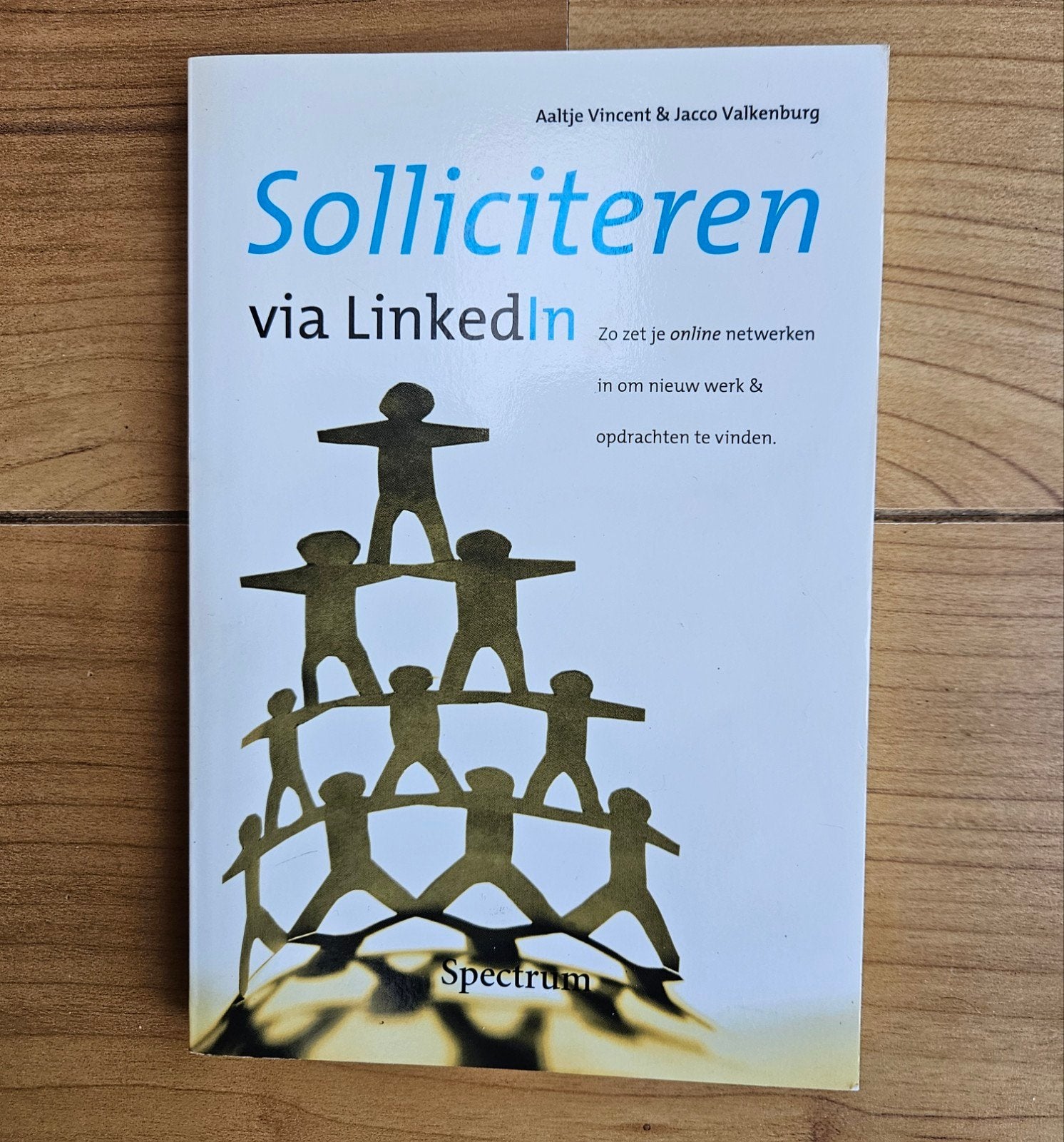 Boek - solliciteren via LinkedIn - nieuw, Ophalen of Verzenden, Nieuw, Aaltje Vincent & Jacco Valkenburg