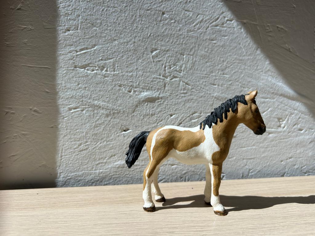 Schleich excusieve pinto jaarling, Ophalen of Verzenden, Zo goed als nieuw, Paard, Beeldje of Figuurtje
