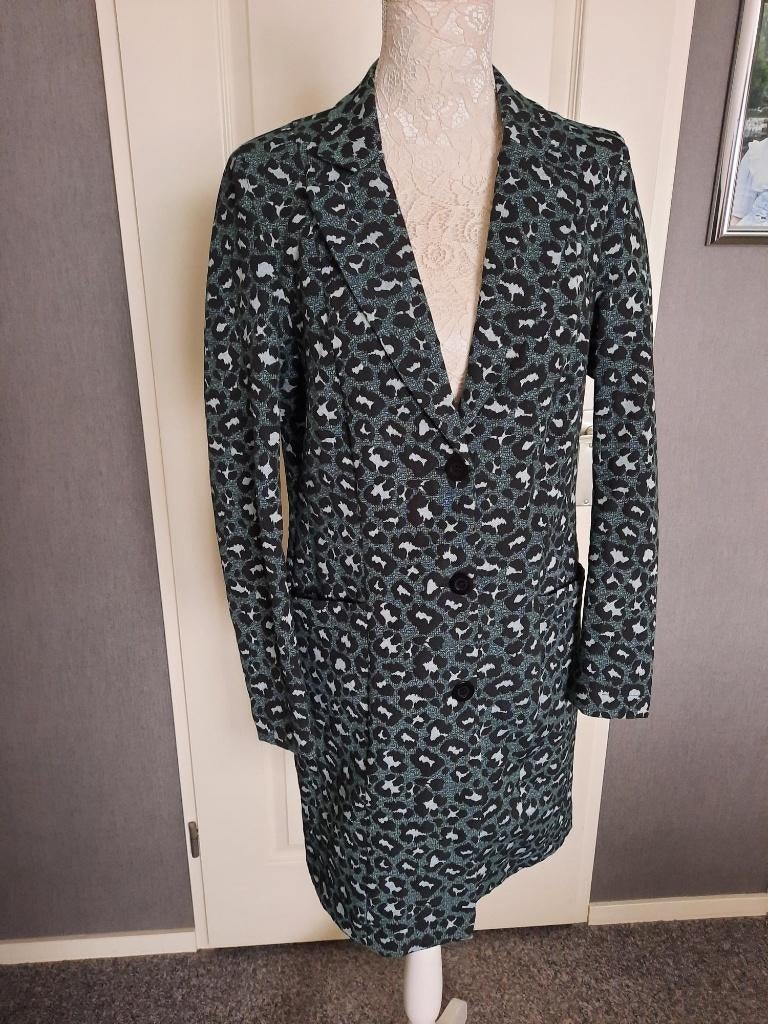 Jas Dreamstar jas van 90.- euro  Kleur : Groen Maat : 40, Maat 38/40 (M), Dreamstar, Nieuw, Ophalen of Verzenden