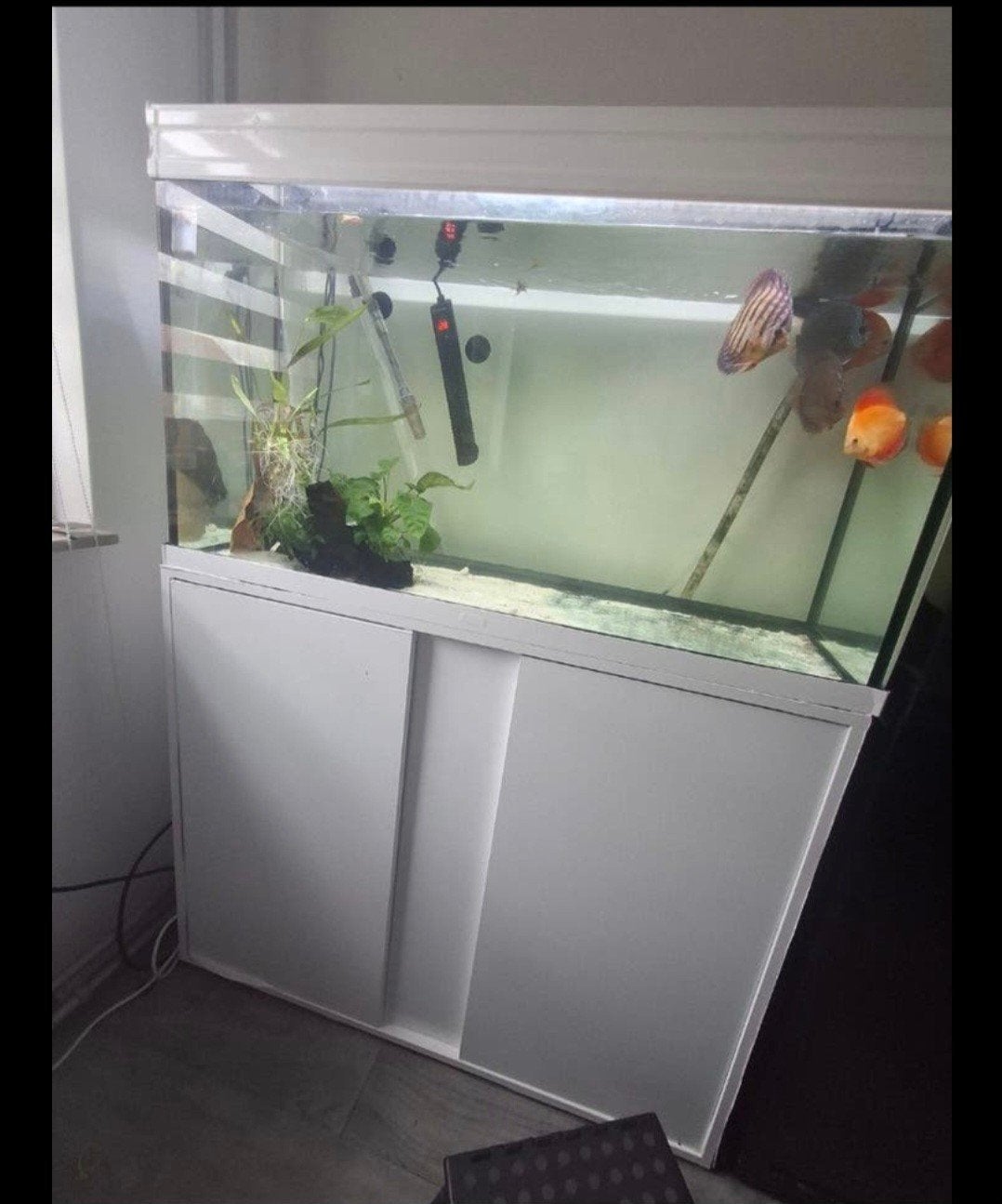 Aquarium 1 meter 200 liter., Ophalen of Verzenden, Zo goed als nieuw, Leeg aquarium