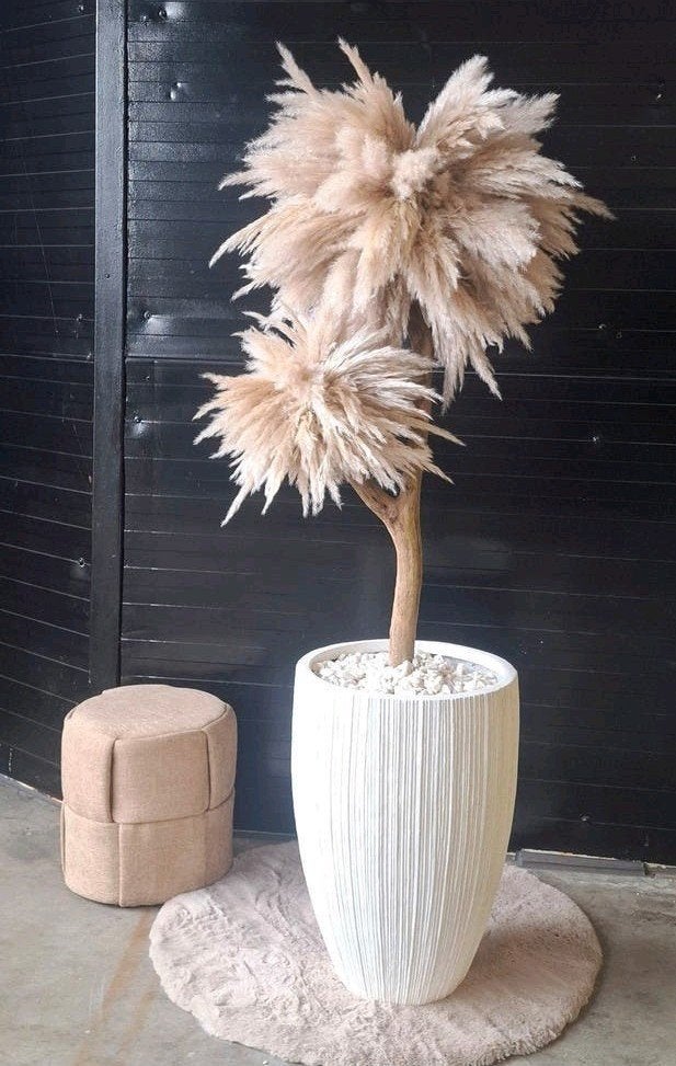 Pampas boom incl luxe hoge witte pot | pampasboom, 180 cm, Binnen, Natuurlijk materiaal, Handgemaakt