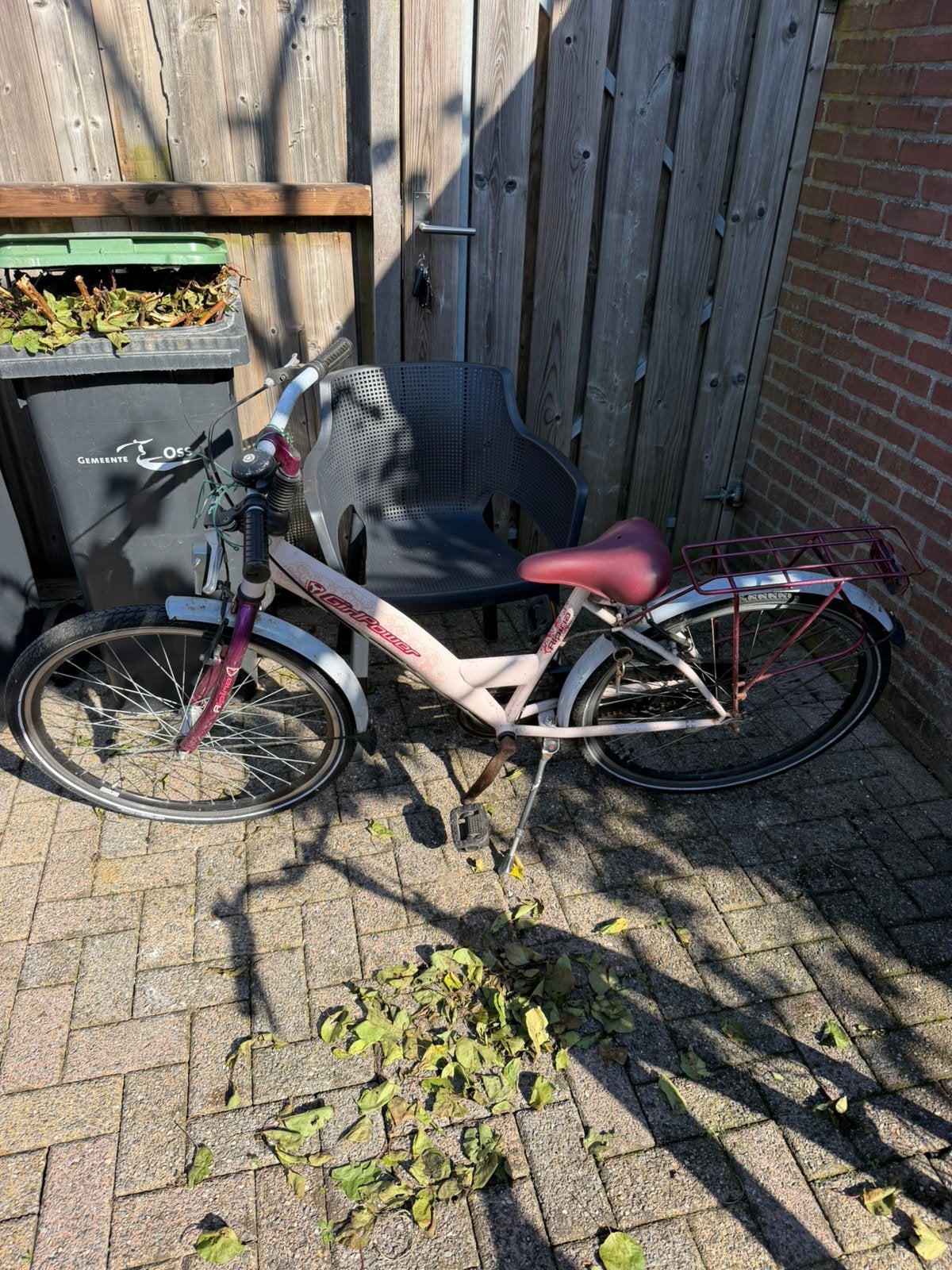 Meisjes Fiets Alpina 26 inch, Overige merken, Ophalen of Verzenden, Zo goed als nieuw, Minder dan 47 cm