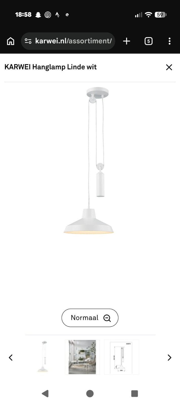 Hanglamp | karwei, Ophalen, Nieuw, Minder dan 100 cm