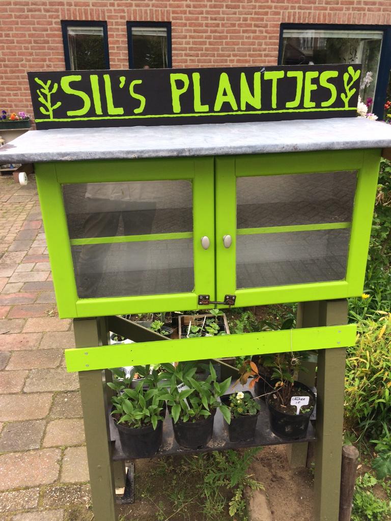 tuinplanten en kamerplanten, Ophalen, Vaste plant, Overige soorten, Halfschaduw