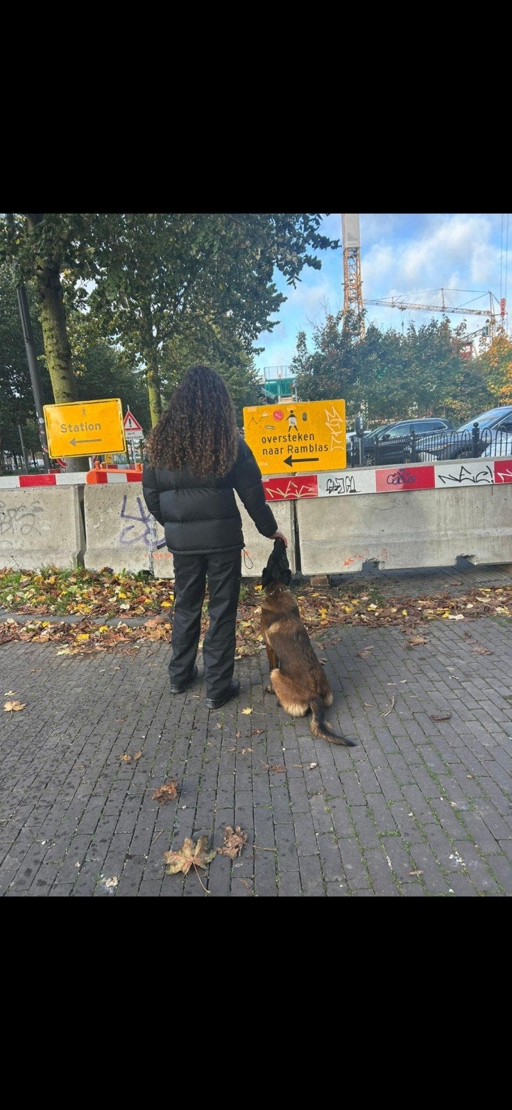 Dieren oppas aangeboden, Dieren en Toebehoren, Ophalen of Verzenden, Overige