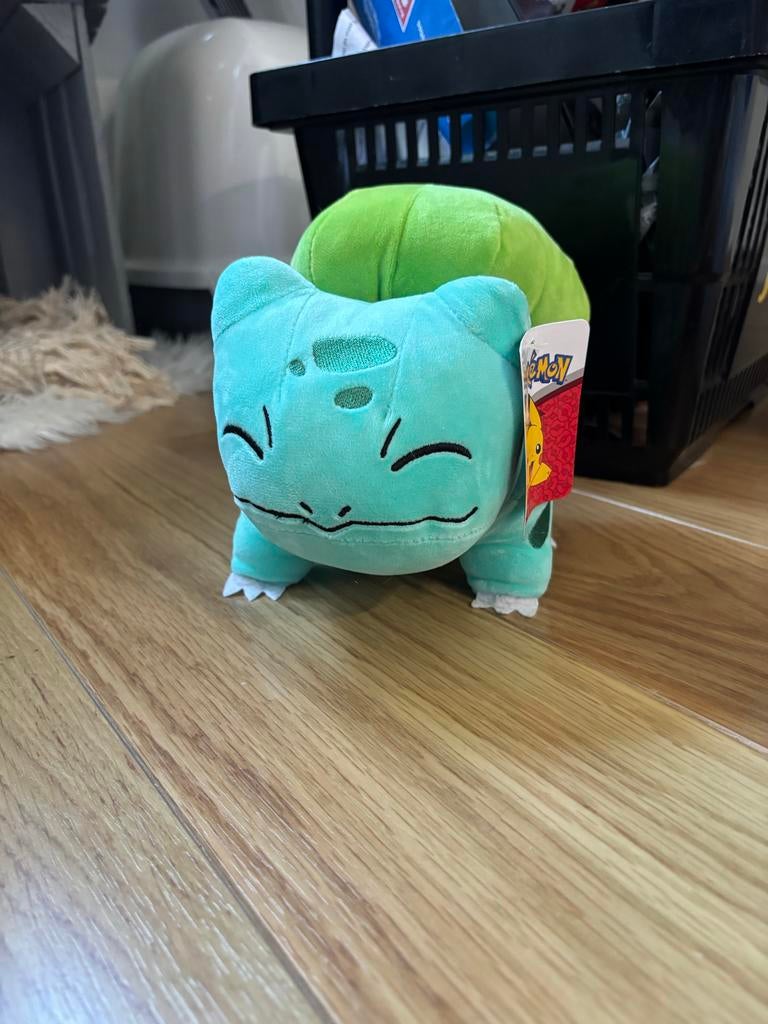 Pokemon knuffels, Ophalen of Verzenden, Nieuw, Overige typen