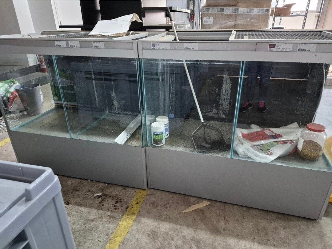 Aquarium, Dieren en Toebehoren, Vissen | Aquaria en Toebehoren, Ophalen, Zo goed als nieuw, Leeg aquarium