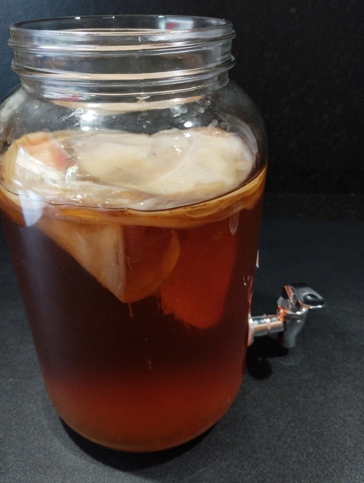 kombucha scoby/ zwam., Ophalen