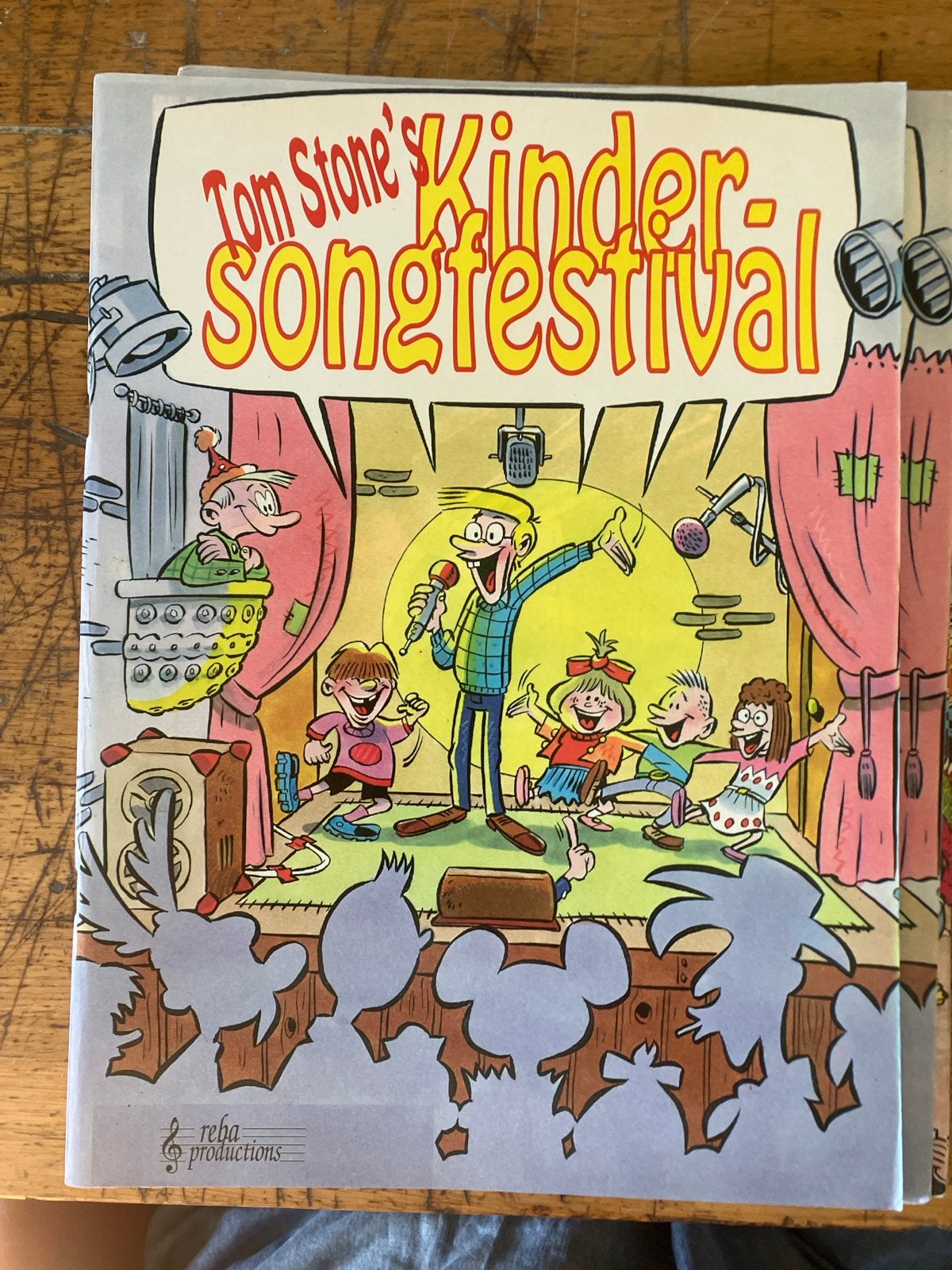 Tom Stone's Kindersongfestival - Kinderliedjesboek, Boeken, Ophalen of Verzenden, Gelezen, Non-fictie