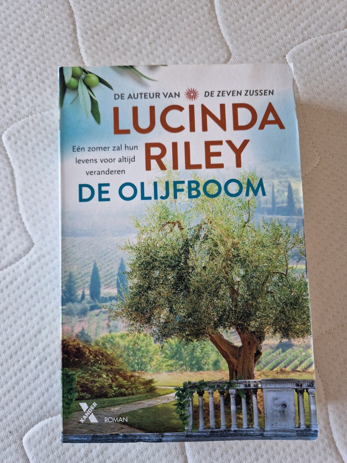 De Olijfboom - Lucinda Riley (Roman), Boeken, Romans, Ophalen of Verzenden, Zo goed als nieuw, Lucinda Riley, Nederland