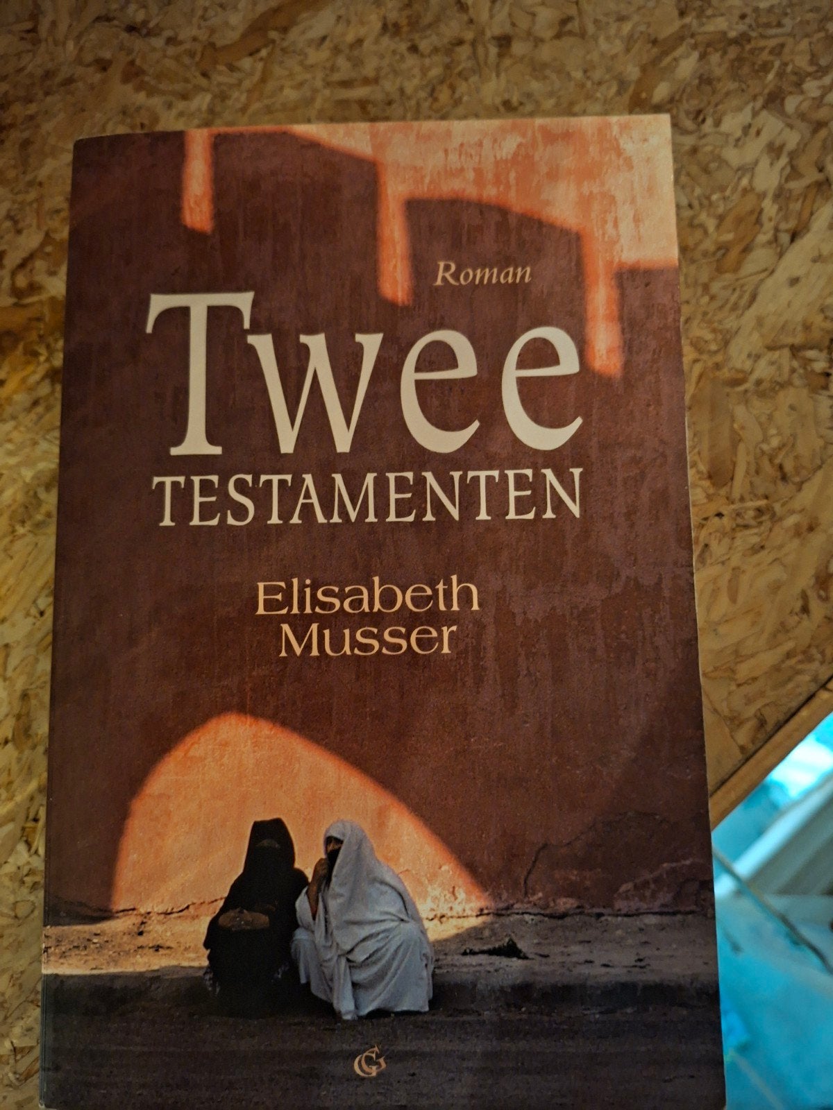 Elizabeth Musser - Twee testamenten, Ophalen of Verzenden, Zo goed als nieuw, Elizabeth Musser