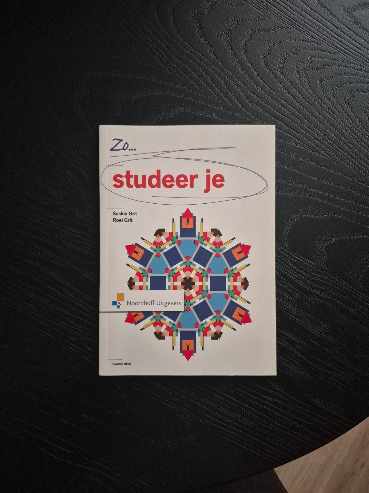 Saskia Grit - Zo studeer je, Ophalen of Verzenden, Zo goed als nieuw, Saskia Grit; Roel Grit