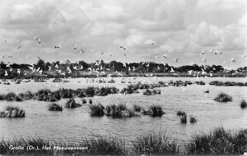 381-482-027 Grolloo Het Meeuwenveen, Verzenden, Voor 1920, Drenthe