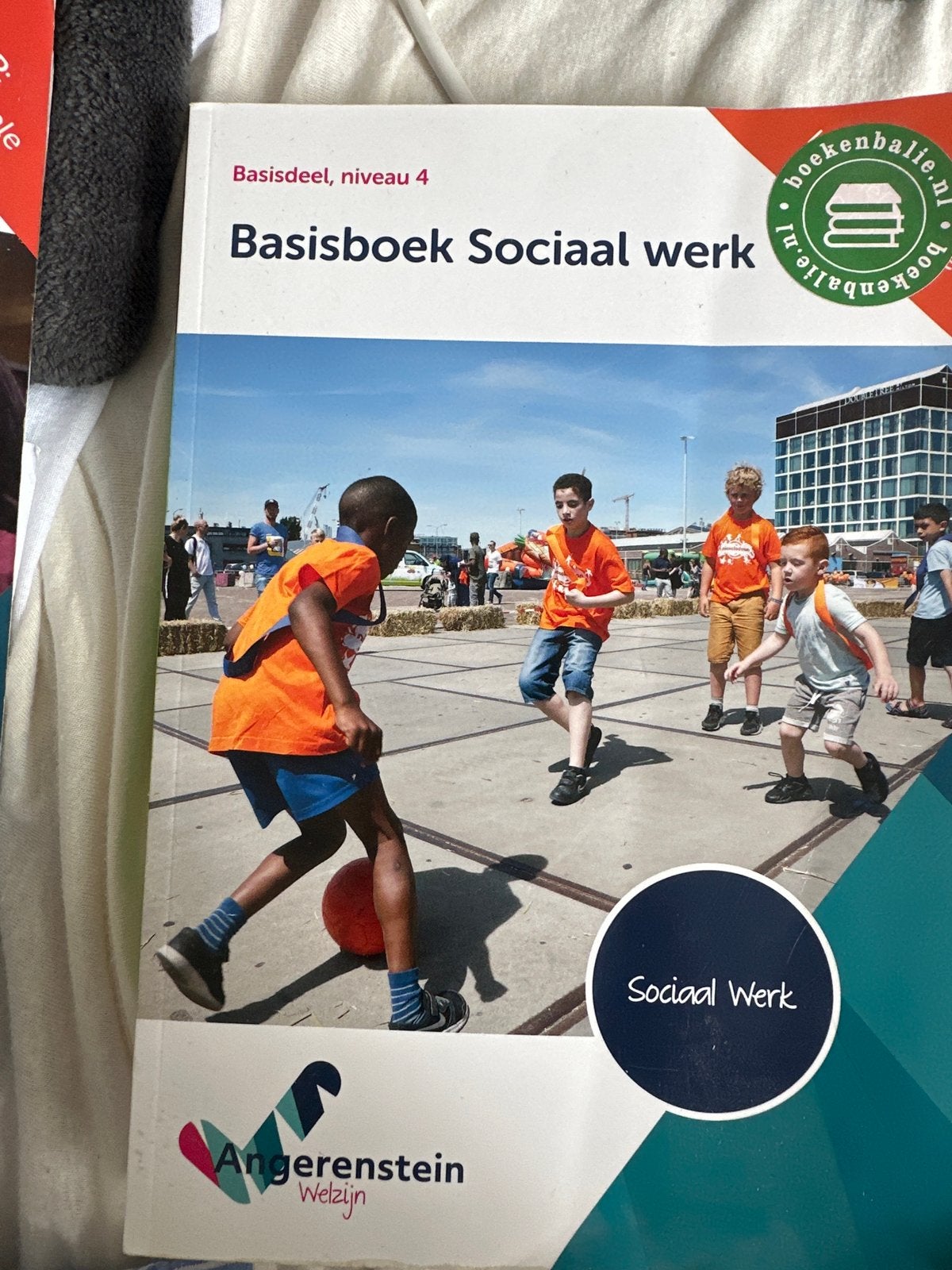 Basisboek Sociaal werk - Niveau 4, Ophalen of Verzenden, Gamma, Zo goed als nieuw, MBO