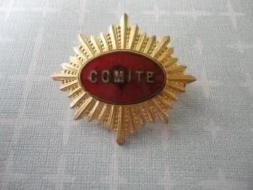 Franse insigne/speld , de Fonction Badge Comite, Verzenden, Overige materialen, Buitenland