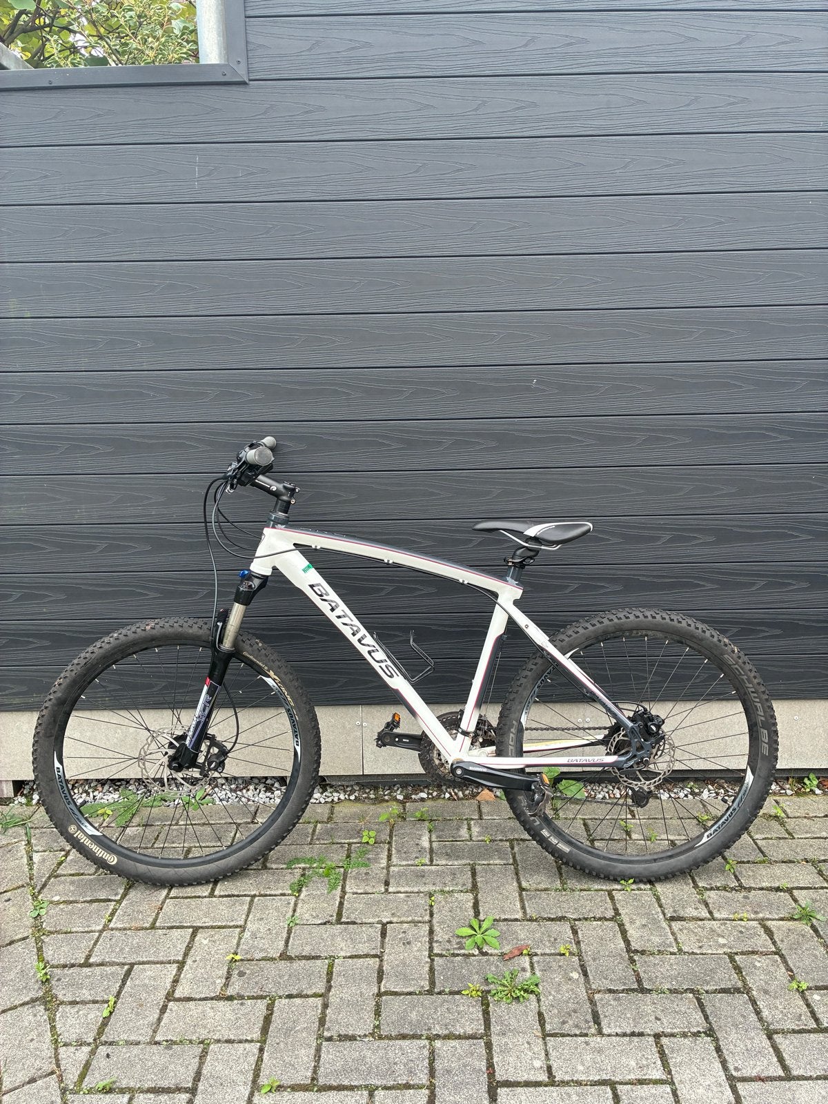 Batavus Mountainbike 26 inch, Gebruikt, Hardtail, Heren, 49 tot 53 cm